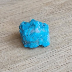 Turquoise brute