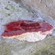 Rhodochrosite -1 face polie