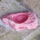 Rhodochrosite brute creusée