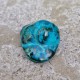 chrysocolle