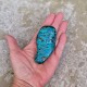 chrysocolle