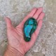 chrysocolle