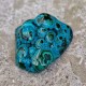 chrysocolle