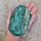 chrysocolle