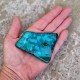 chrysocolle