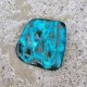 chrysocolle