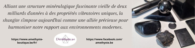 shungite Amethyste.be
