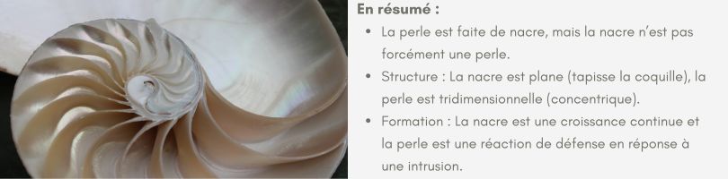 différences entre nacre et perle