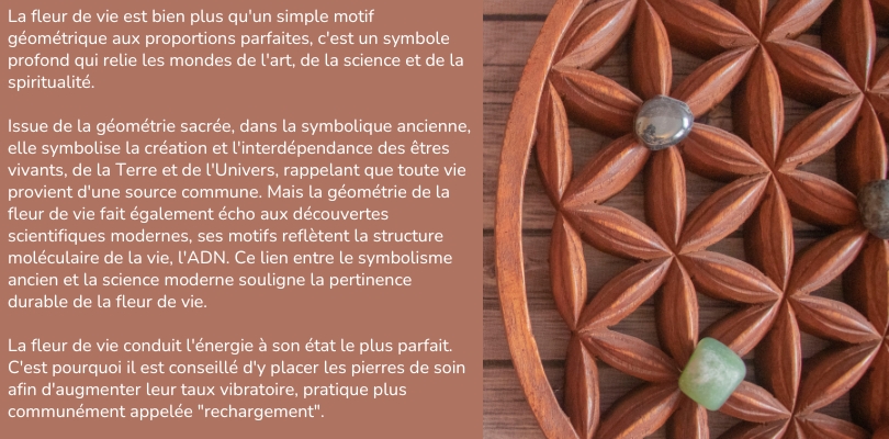 fleur de vie signification