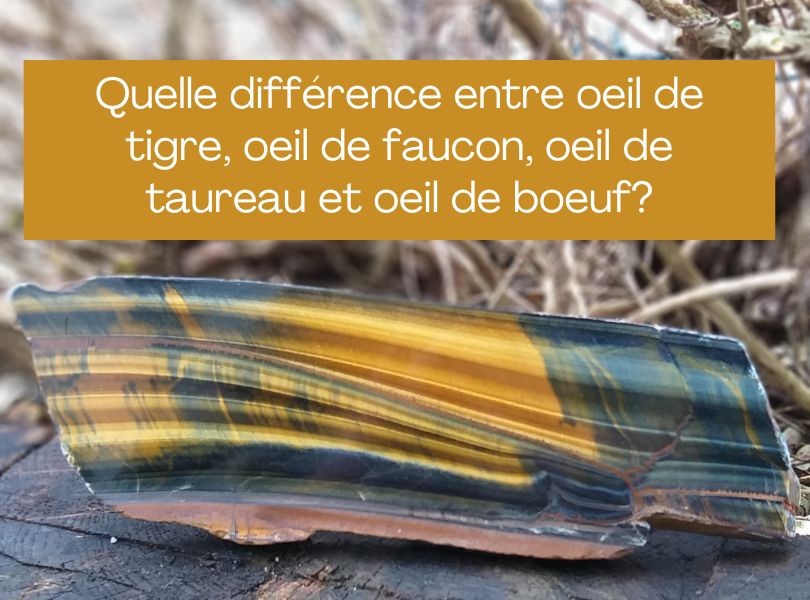 Oeil de tigre, oeil de faucon, oeil de taureau, quelle différence?